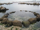 ad355726.JPG