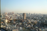 ϻ���ڥҥ륺�쥸�ǥ�1��31F����ηʴ�