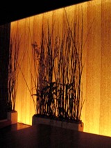 dozo07