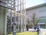 ���󥰥ݡ���ʳޡˡ��륬�饹����