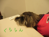 BlogPaint
