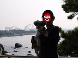 BlogPaint