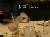 BlogPaint