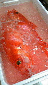 898a19f1.jpg