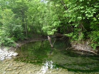 kawa2
