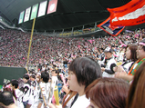 ファイターズ一家12