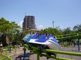 P1010593