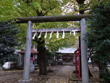 ��ͣ�