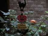 halloween entrance