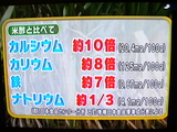 �ޥå��룱