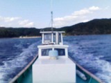 386c678f.jpg