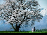 �ɤ������