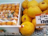 ���󤫤�
