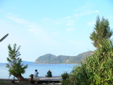 �椭���ʻ�����