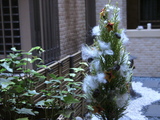 07christmasdeco2