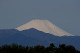 2459e88b.JPG