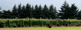 81094a4a.JPG