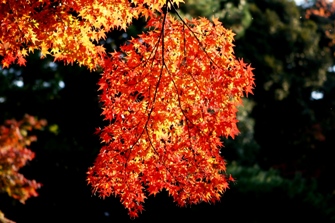 111