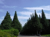 8399b111.JPG
