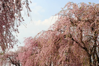 �޿��2