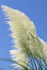 ������3