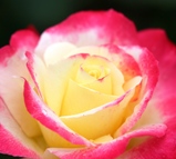 �����