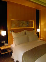 Le Royal Meridien ��