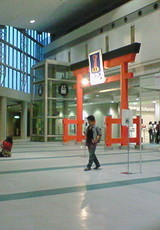 torii_wbc
