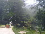 kiyosato_forest