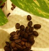 coffee_beans