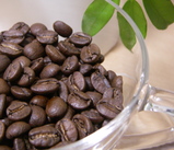 specialty_beans