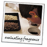 cupping_1