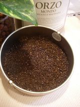 orzo_beans