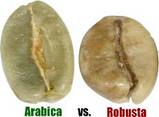 arabica_robusta_beans