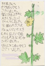 絵葉書