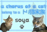 ǹ羧ÃÄ
