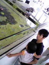 6f4c0107.jpg