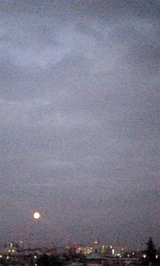 d0c987cf.jpg