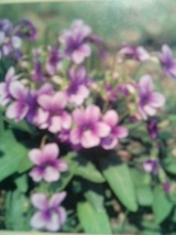 0271c743.jpg
