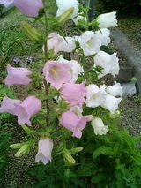 079bd513.jpg