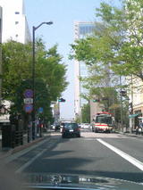 5373df8c.JPG