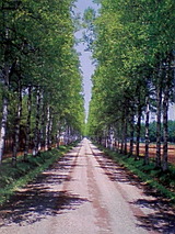 5f752be5.JPG