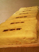 a2cb0211.JPG