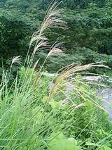 d5d03f73.jpg