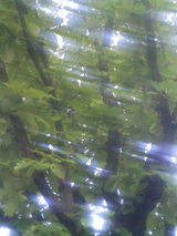 eb93ff62.JPG