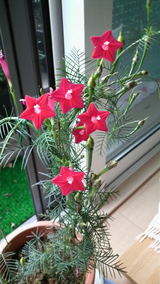 f1bd720e.JPG