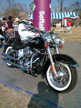79e7fd30.jpg