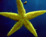 200504271529000.jpg