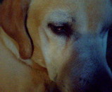200505242030000.jpg