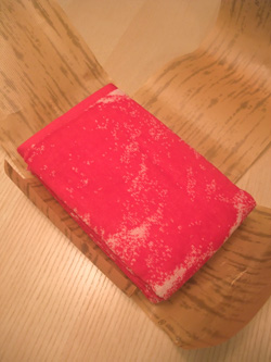 DSCF4098
